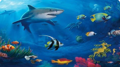 第02课 海底世界